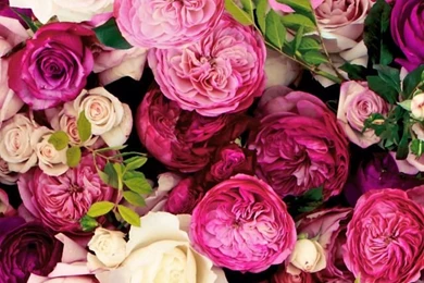 Flower Love On Pinterest