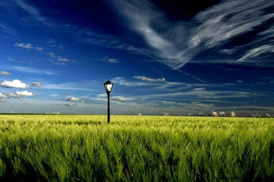 Widescreen Backgrounds