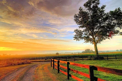 Nature Wallpapers, Hd Landscape Images, Widescreen, Wallpapers Of ...