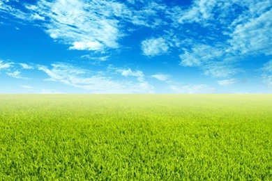 Wallpaper Backgrounds Free 2 Widescreen Backgrounds And Wallpapers ...