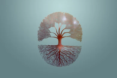 Artwork circuit tree hi tech hd wallpaper background uhd 2k 4k 5k ...