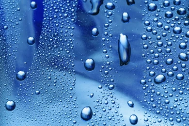 Cool Yellow And Black Fish Wallpapers High Resolution Image