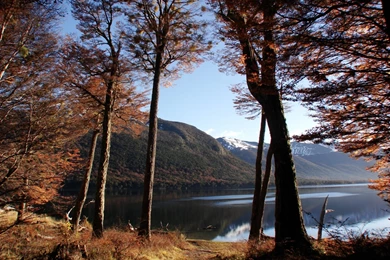 1600x1200 Desktop Wallpapers