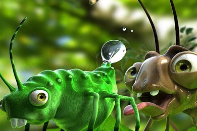 Desktop Wallpapers · Gallery · Humor · Insects Funny Desktop ...