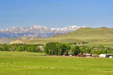 Green Summer Live Wallpapers   Android Apps On Google Play