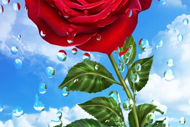 Download Summer Rain, Flowers, HD LWP For Android, Summer Rain ...