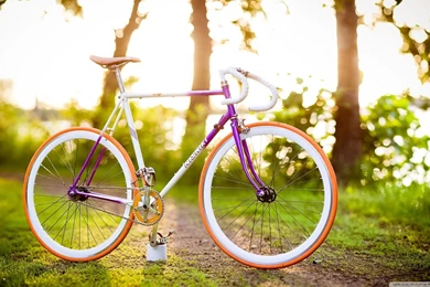 Spring Bike Ride HD Desktop Wallpapers : Widescreen : High ...