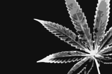 Cool Weed Wallpapers Pictures 16 HD Wallpapers