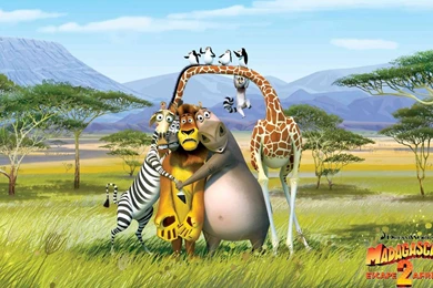 Awesome Madagascar HD Wallpapers Free Download