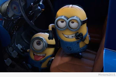 Funny Despicable Me Wallpapers And Backgrounds