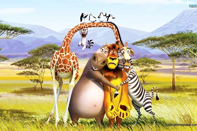 Madagascar Movie Wallpapers   Wallpapers Zone