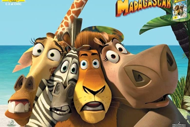 Wallpapers Madagasca Penguins Of Madagascar 1024x768