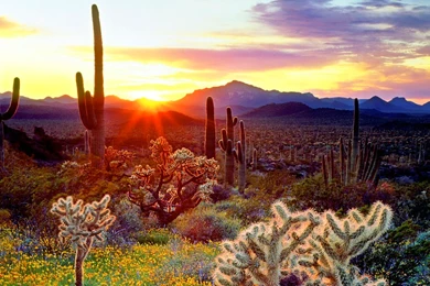 African Sunset Wallpapers HD 01, HD Desktop Wallpapers