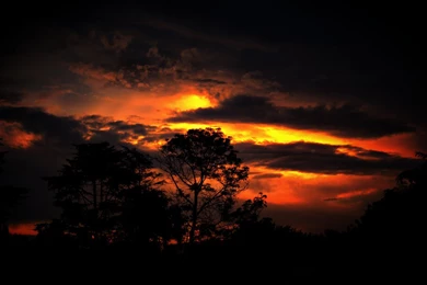 African Sunset By Robertsc 1095x730 IWallHD Wallpapers HD