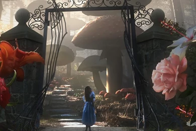 Alice In Wonderland People Characters iPad Wallpapers