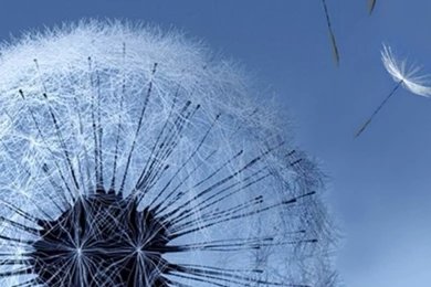 Paris Wallpapers Hd Collection (33+)