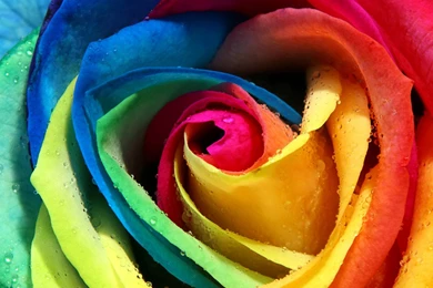 Cool Colorful Wallpapers   Wallpapers HD Wide