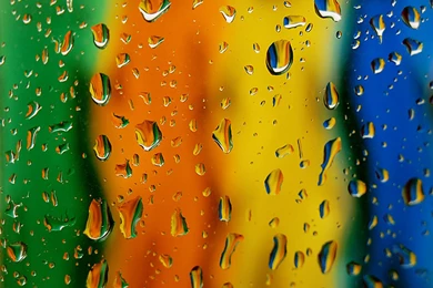 Colorful drops zebra print thepixhost.jpg