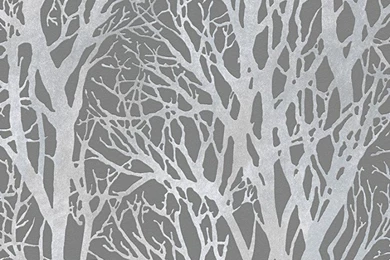 Paste The Wall Archives   Cut Price Wallpapers CreweCut Price ...