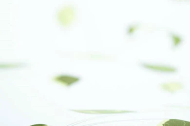 Heritage Collection Leaf Trellis Wallpapers « Karen Perry