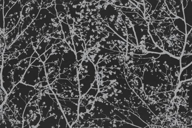 P&S International Graphic Silver/Black Paste The Wall Wallpapers ...