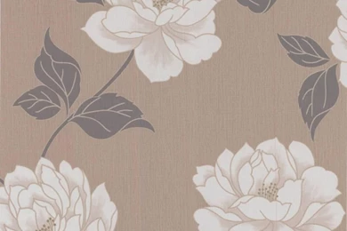 Paste The Wall Wallpapers   Wallpapers HD Fine