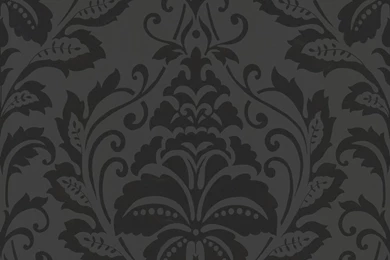 Paste The Wall Wallpapers   Wallpapers HD Fine