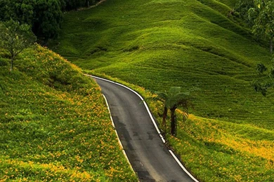 Mountain Road iPhone 5s Wallpapers Download