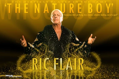 Ric Flair Computer Wallpapers, Desktop Backgrounds