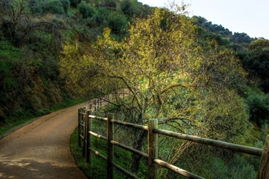 Top Moses And The Highway Wallpapers