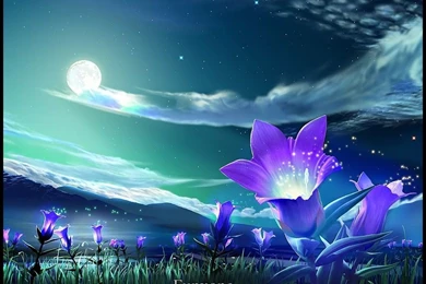 Colorful Desktop Wallpapers   All Wallpapers New