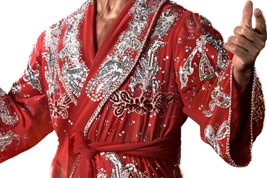 DeviantArt: More Like WWE 2K14 Ric Flair Render Cutout By ...