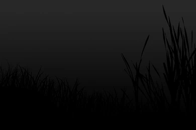 Desktop Backgrounds Black No Icons