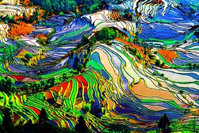 Trippy Wallpapers 1680x1050   (