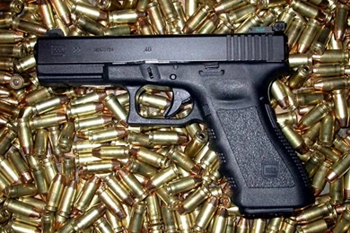 The Gun Zone    Glock Owner Stupidity