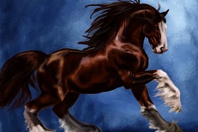 Clydesdale By Fnogis On DeviantArt