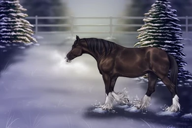 Budweiser Clydesdales Christmas Wallpapers