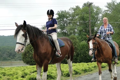Clydesdale Trail Ride, Barn Tour And Horsing Around « Living ...