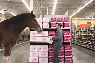 Budweiser USA: