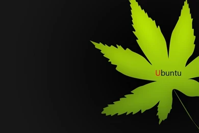 Download Wallpapers, Download 1024x1024 Leaves Ubuntu Marijuana ...