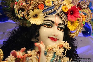Sri Krishna Close Up Wallpaper, Hare Krishna Wallpapers, Free ...