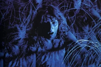 Fairy tales   Page 14   The Fashion Spot