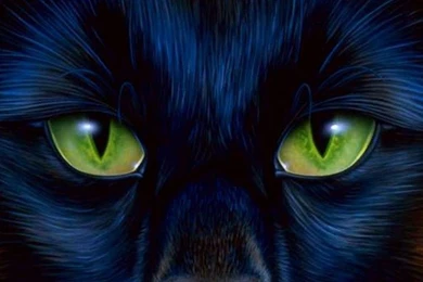 Cool Desktop Wallpapers   Wallpapers Cave