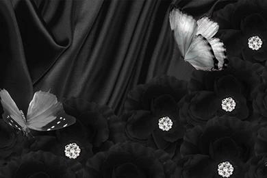 1385) Black Butterfly Picture Wallpapers   WalOps.com