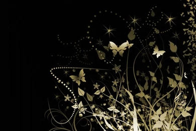 Black And White Butterfly Wallpapers HD