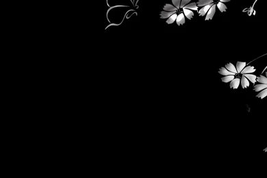 Download Wallpapers 1080x1920 Butterfly, Flower, Black Backgrounds ...