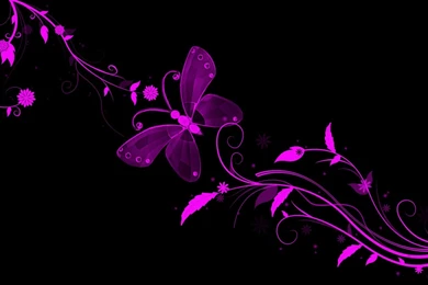 Black Butterfly Wallpapers » WallDevil   Best Free HD Desktop And ...