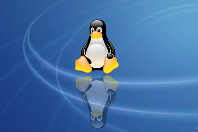 Download Linux Penguin HD Wallpaper—Free Wallpapers