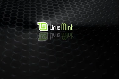 Wallpapers Linux Mint Free Penguin 1024x768