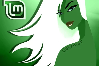 Wallpapers Linux Mint Free Penguin 1024x768